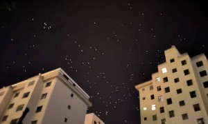 甘肃一地现大量飞鸟在天空盘旋，有网友担心为地震前兆，地震局：鸟类聚集并非特别异常
